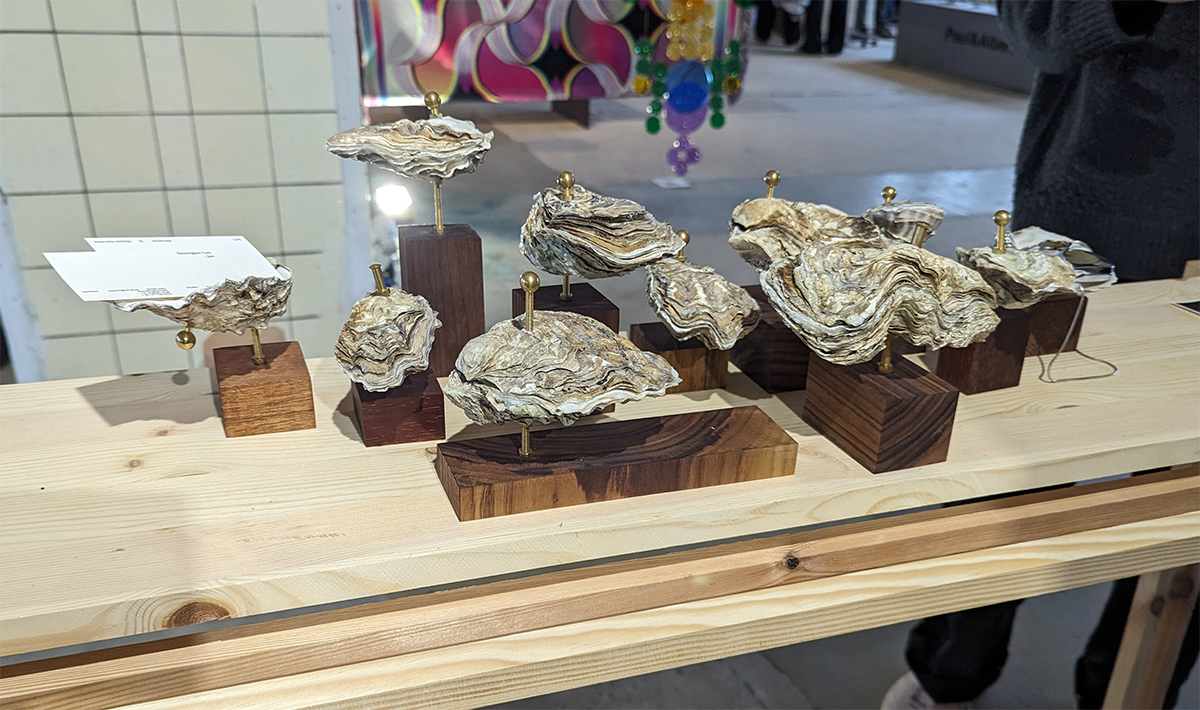 Uitgestald werk van Seoungjun Lee: oesterschelpen waarvan de boven- en onderkant samen een doosje vormt, gemonteerd op een voetstuk van hout